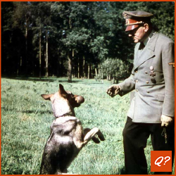 Pubquiz vraag Honden Hitler 2303